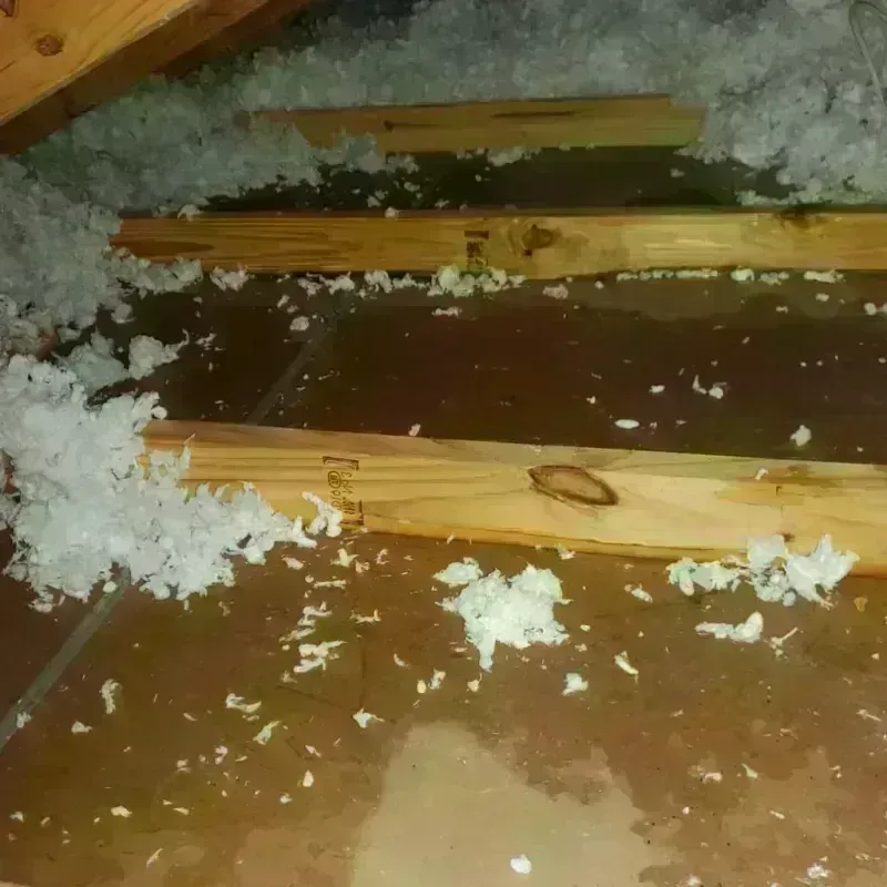 Attic Water Damage in Central City, NE