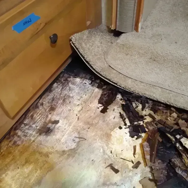 Wood Floor Water Damage in Central City, NE